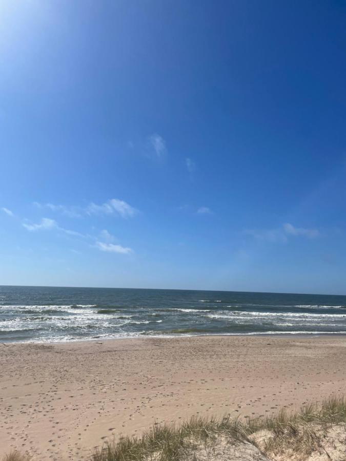 Cozy Vaivorykstes Apartment Palanga Eksteriør bilde