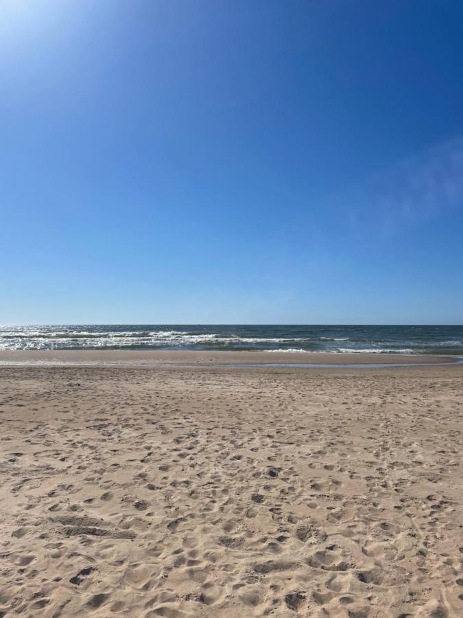 Cozy Vaivorykstes Apartment Palanga Eksteriør bilde